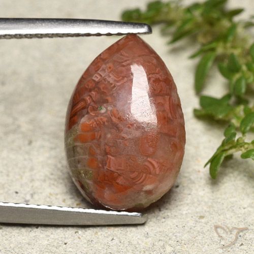 4.69ct 자연스러운 다색 산호, 배 모양, 투명한