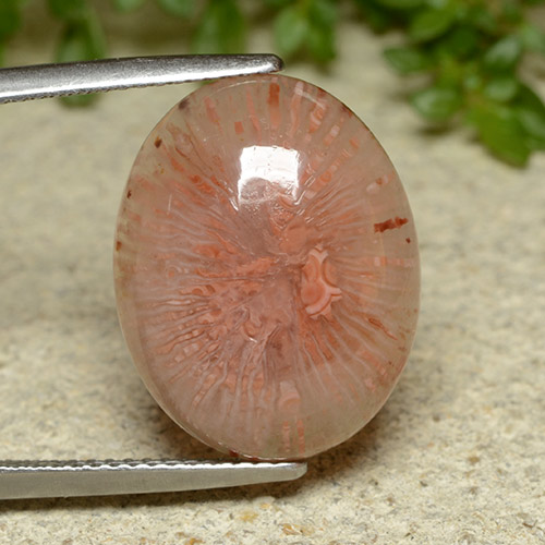 10.65캐럿 천연 다색 산호, 타원형 컷, 투명한