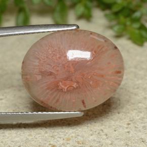 10.65캐럿 천연 다색 산호, 타원형 컷, 투명한