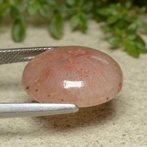 10.65캐럿 천연 다색 산호, 타원형 컷, 투명한