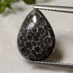 2.93캐럿 천연 멀티컬러 산호, 배 모양, 13×9.7 mm, 불투명체