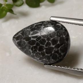 2.93캐럿 천연 멀티컬러 산호, 배 모양, 13×9.7 mm, 불투명체
