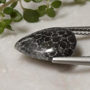 2.93캐럿 천연 멀티컬러 산호, 배 모양, 13×9.7 mm, 불투명체