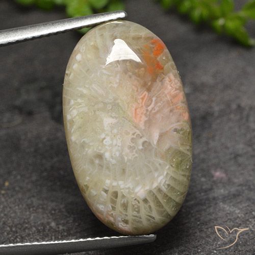 11.82ct 자연스러운 다색 산호, 타원형, 투명한