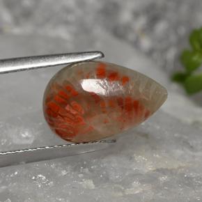 2.84캐럿 천연 멀티컬러 산호, 배 모양, 12.5×8 mm, 불투명체