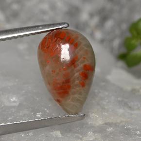2.84캐럿 천연 멀티컬러 산호, 배 모양, 12.5×8 mm, 불투명체