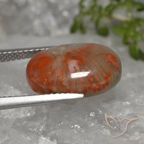 5.96캐럿 천연 다색 산호, 타원형, 불투명체