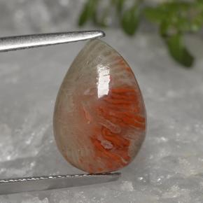 3.19캐럿 천연 멀티컬러 산호, 배 모양, 13.3×9.3 mm, 투명한