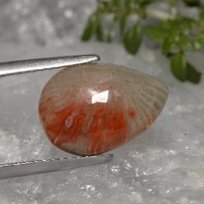 3.19캐럿 천연 멀티컬러 산호, 배 모양, 13.3×9.3 mm, 투명한
