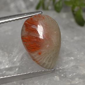 3.19캐럿 천연 멀티컬러 산호, 배 모양, 13.3×9.3 mm, 투명한