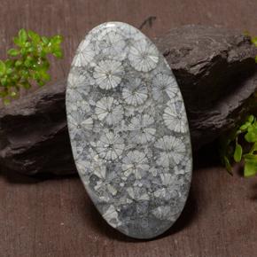 43.97캐럿 천연 멀티컬러 산호, 타원형 컷, 45.6×25.8 mm, 불투명체