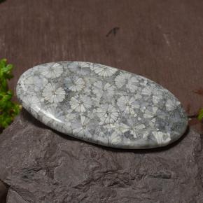 43.97캐럿 천연 멀티컬러 산호, 타원형 컷, 45.6×25.8 mm, 불투명체