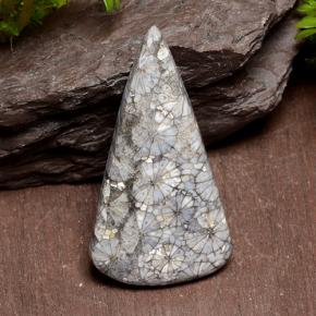 29.10캐럿 천연 멀티컬러 산호, 트릴리언, 38.6×20.6 mm, 불투명체