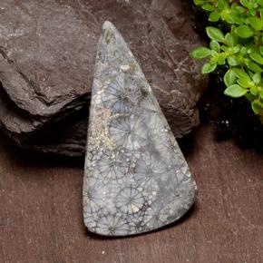 29.10캐럿 천연 멀티컬러 산호, 트릴리언, 38.6×20.6 mm, 불투명체