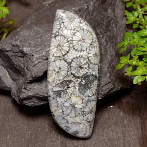 26.84캐럿 천연 다색 산호, 멋진 모양, 불투명체