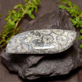 26.84캐럿 천연 다색 산호, 멋진 모양, 불투명체