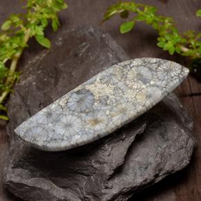 26.84캐럿 천연 다색 산호, 멋진 모양, 불투명체