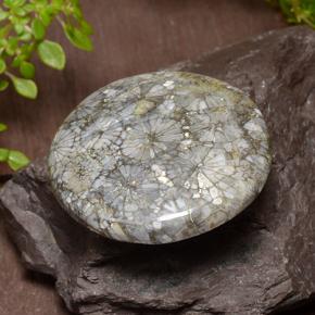 42.64캐럿 천연 다색 산호, 라운드 컷, 불투명체