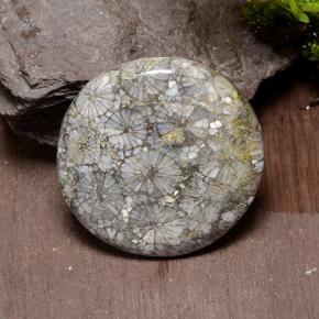 42.64캐럿 천연 다색 산호, 라운드 컷, 불투명체