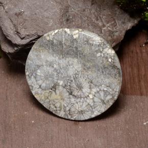 42.64캐럿 천연 다색 산호, 라운드 컷, 불투명체