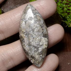 36.99캐럿 천연 다색 산호, 보석, 불투명체