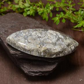 36.99캐럿 천연 다색 산호, 보석, 불투명체