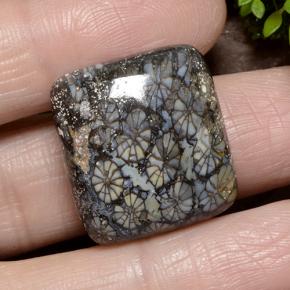 23.19캐럿 천연 다색 산호, 쿠션 컷, 불투명체