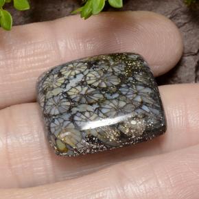 23.19캐럿 천연 다색 산호, 쿠션 컷, 불투명체