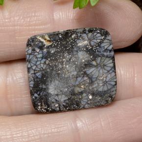 23.19캐럿 천연 다색 산호, 쿠션 컷, 불투명체