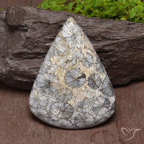 47.39ct 자연스러운 다색 산호, 배 모양, 불투명체
