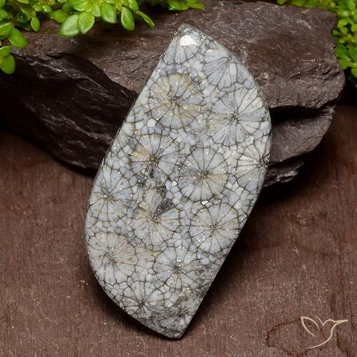 40.47ct 자연스러운 다색 산호, 팬시한, 불투명체