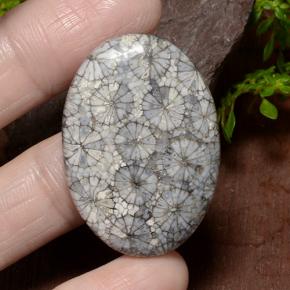 34.23캐럿 천연 다색 산호, 타원형 컷, 불투명체