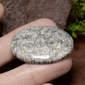 34.23캐럿 천연 다색 산호, 타원형 컷, 불투명체