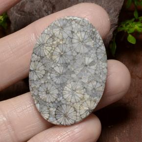 34.23캐럿 천연 다색 산호, 타원형 컷, 불투명체