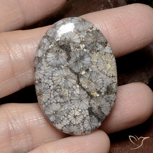 49.51ct 자연스러운 다색 산호, 타원형, 불투명체