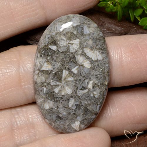 42.02ct 자연스러운 다색 산호, 타원형, 불투명체