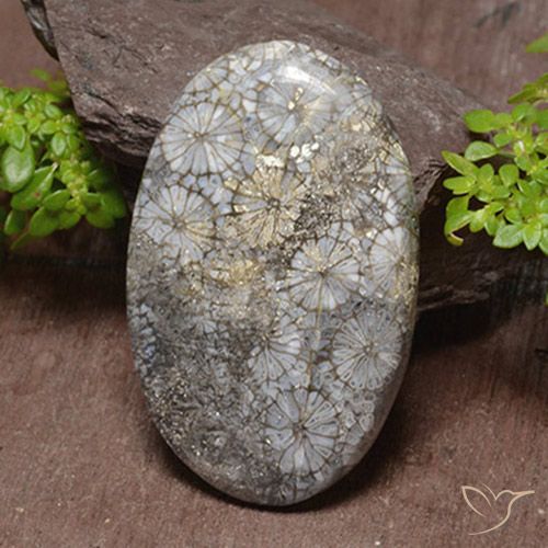46.22ct 자연스러운 다색 산호, 타원형, 불투명체