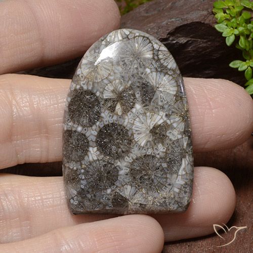 45.79ct 자연스러운 다색 산호, 팬시한, 불투명체