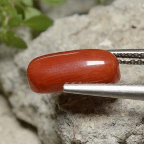 2.55캐럿 천연 미디엄 레드 산호, 타원형 컷, 11.8×5.3 mm, 불투명체