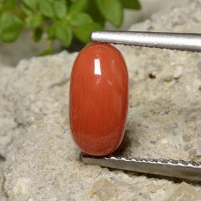 1.40캐럿 천연 파이어 오렌지 산호, 타원형 컷, 9.2×4.9 mm, 불투명체