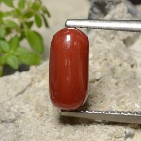 2.51캐럿 천연 파이어 레드 산호, 타원형 컷, 10.9×5.3 mm, 불투명체