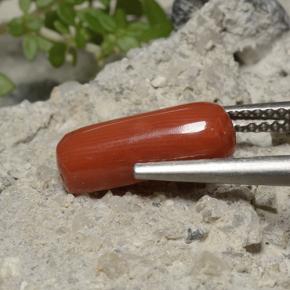 2.68캐럿 천연 오렌지 레드 산호, 타원형 컷, 불투명체