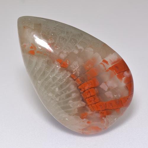 8.29캐럿 천연 멀티컬러 산호, 배 모양, 21.3×13.7 mm, 투명한