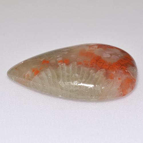 8.29캐럿 천연 멀티컬러 산호, 배 모양, 21.3×13.7 mm, 투명한