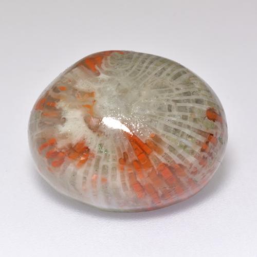 13.38캐럿 천연 멀티컬러 산호, 타원형 컷, 16.7×13.6 mm, 투명한