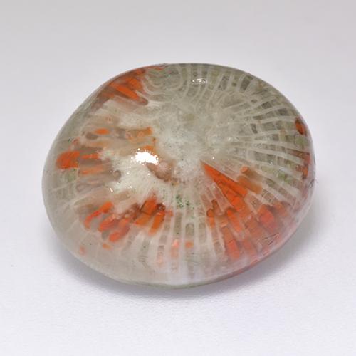 13.38캐럿 천연 멀티컬러 산호, 타원형 컷, 16.7×13.6 mm, 투명한
