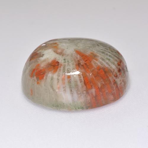 13.38캐럿 천연 멀티컬러 산호, 타원형 컷, 16.7×13.6 mm, 투명한