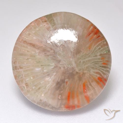 8.32ct 자연스러운 다색 산호, 둥근, 투명한