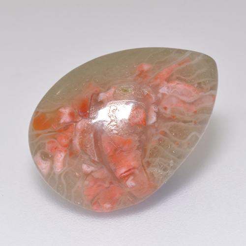 5.97캐럿 천연 멀티컬러 산호, 배 모양, 16.5×11.8 mm, 투명한