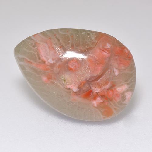 5.97캐럿 천연 멀티컬러 산호, 배 모양, 16.5×11.8 mm, 투명한